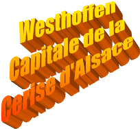 Westhoffen
Capitale de la
Cerise d'Alsace